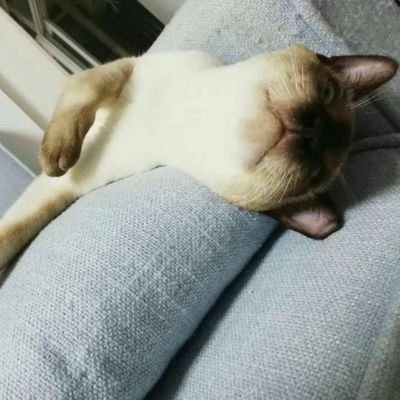 仁瑾さんのプロフィール画像