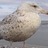 Eptima's profile image