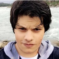 avggamer7283 (@sfk7283) 's Twitter Profile