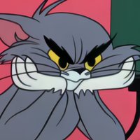 maiqo (@_maiqo) 's Twitter Profile Photo