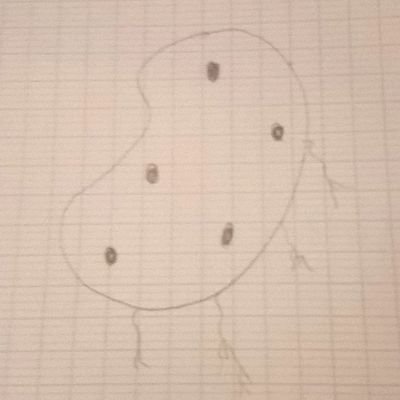 Sapis24's profile picture. Bof...