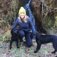 SPearsonDSM (@dsmpearson) 's Twitter Profile