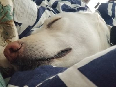 al321babe's profile picture. 