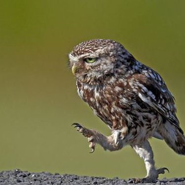 sasha36049448's profile picture. 