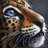 JaguarsTips's profile image