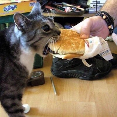 dooooooonk's profile picture. yikes