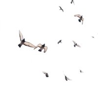 ﮼أدعيه . (@d3a_kh) 's Twitter Profile Photo