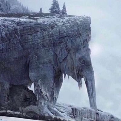 the_wavin's profile picture. as long as i gaze on timperley sunset i am in paradise