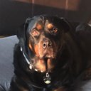 Cindy Markley - @cindy_markley - Twitter