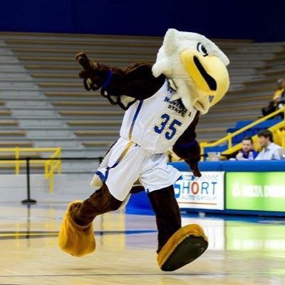 beakermsu's profile picture. Morehead State University’s official mascot! UCA Nationals 4th/5th place! Born-1993! Catch me soaring around any MSU event and around the community! #msueagles