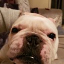 Dionne Roberts - @DionneR28904023 - Twitter