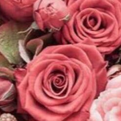 nourhalz's profile picture. اللهمّ قناعة ترضينا بما قسمته لنا وتغنينا عمّا لم تكتبه لنا 💜