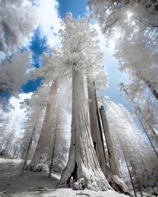 T1vlMpdP4zIlKLd's profile picture. молодая брюнетка