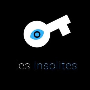 _LesInsolites's profile picture. Compte officiel relié au M2 Politiques Culturelles et Mécénat de Sciences Po Aix