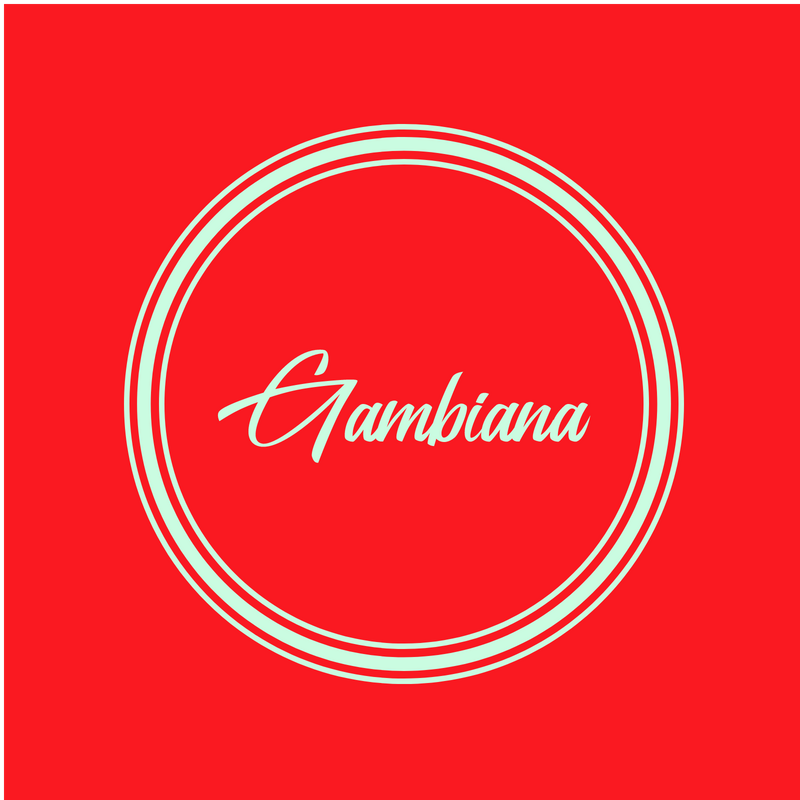 gambiananews Profile Picture