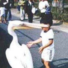 Raulskiさんのプロフィール画像