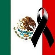 ramangeltrix's profile picture. Making the atoms to love each other.