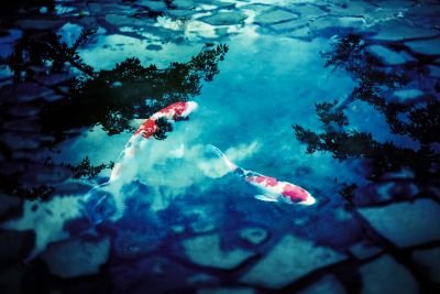 haru_doxa's profile picture. 楽しいニート生活の記録