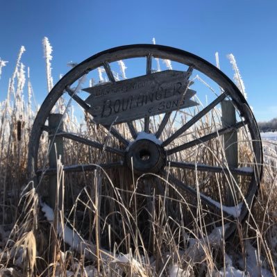 DanBoulang's profile picture. Organic beef and grain producer, interested in regenerative Ag, soil health, cover crops, intercropping, rotational grazing etc