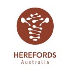 Herefords Australia