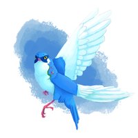 birdmir(@birdmir1) 's Twitter Profile Photo