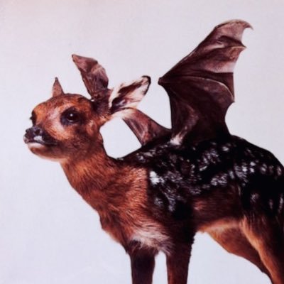 androgyne_angel's profile picture. jules — 29 — they/he/she/xe — just here to follow other hot transsexuals and like my bf’s tweets