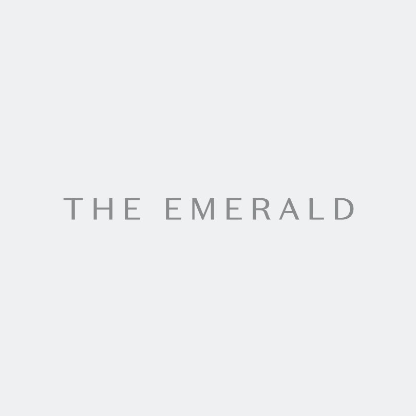 The Emerald is bringing a new level of high-rise living to downtown Seattle, 262 signature residences with unrivaled views and breathtaking amenity spaces.