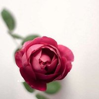 مشاعل (@ma___712) Twitter profile photo