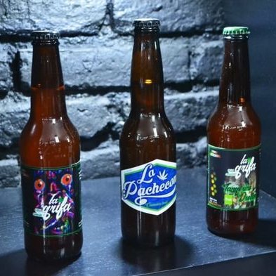 Beercanabis A Twitter La Pachecona Cerveza Estilo Pilsner Color Dorado Y Cuerpo Medio Sabores A Malta Miel Frutas Y Canamo Aroma Frutal Malta Tostada Y Canamo Es Una Bebida Con Un Caracteristico