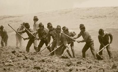 JPaby's profile picture. Político - Abogado