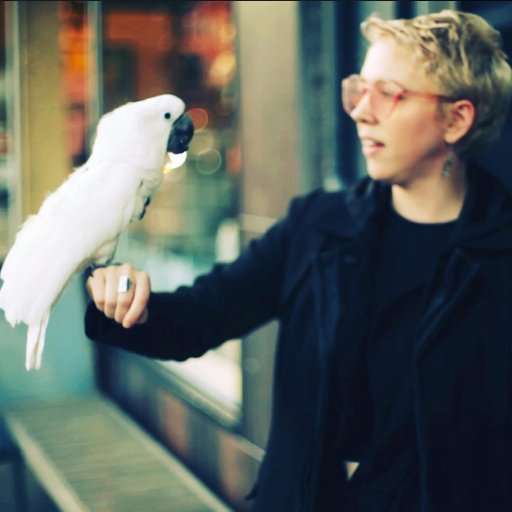 samfrons's profile picture. 