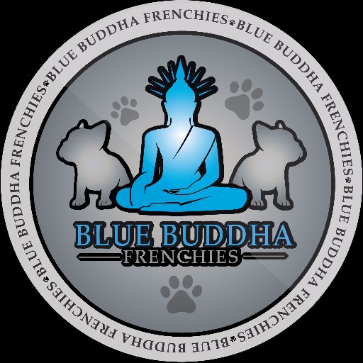 Elite Brand of Quality French Bulldogs
https://t.co/Ax4AnoMdz3
