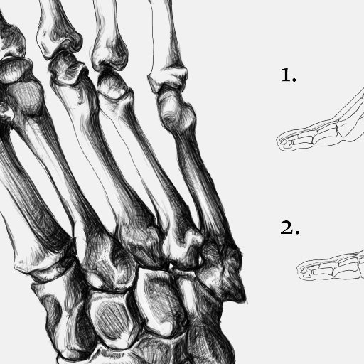 morphometrics's profile picture. Spec bio, comp morphology, biomechanics and pet keeping. Someday, grad school. For now, labeling jars and watching horse racing. A bit of art and lit.