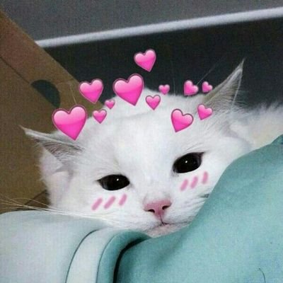 AnastasiaStietz's profile picture. Friends and Family only
❄AHS19
❄Christian
❄18
❄CU2023
I'm in love with idiots