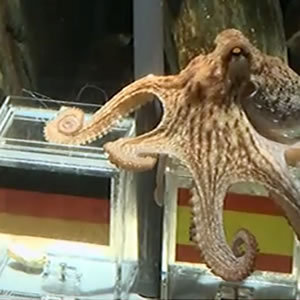 KrakenPaul's profile picture. 