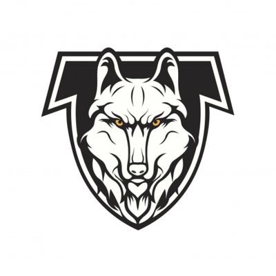 ggwhitewolves's profile picture. Organização profissional de E-Sports.