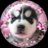 hisashi499's profile image