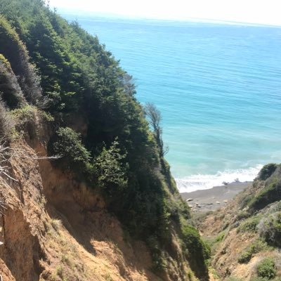 JessicaVoskFann's profile picture. 