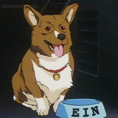 Anime Dog of the Day on Twitter: "Today's anime dog of the day is: Bee