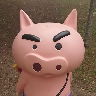 29miporin10's profile picture. 涙腺最弱な自由人。うつ病・パニック障害でも楽しく生きてる♪
＊モルさん🐹にゃんこ🐈🐈‍⬛が何より大切＊
＊最推し=シンクタンクのシンクさん💓お笑い＝パワーの源＊