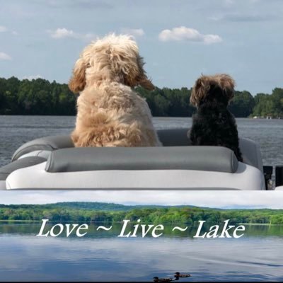 riverrat0723's profile picture. 