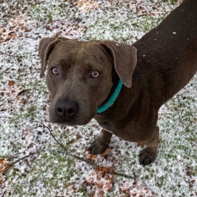 daKora73008915's profile picture. 