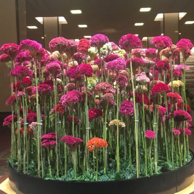 BynNKcqqwU65H7E's profile picture. 