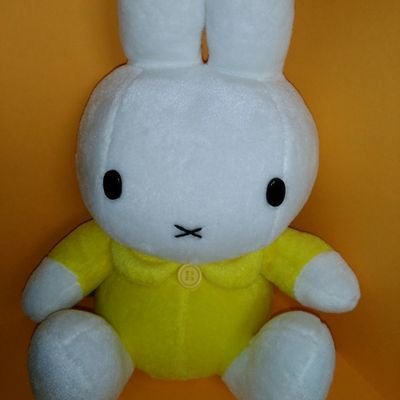 shima⭐︎ shima shima (@SmzPontaSUPER11) / Posts / X