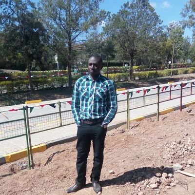 danlibondo's profile picture. 