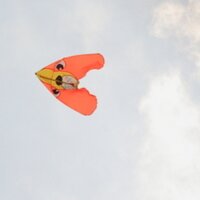 Kazushi Nagase (@nagase1222) 's Twitter Profile