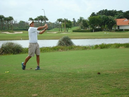 brandaobonani's profile picture. 