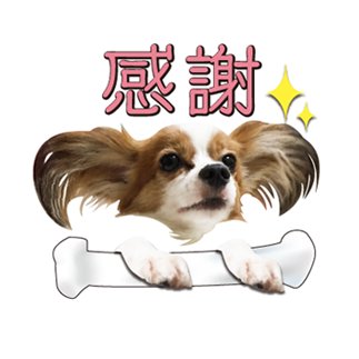 utakoro88_gcg's profile picture. ご挨拶もせずフォローすみません(´･ω･`)    ご了承頂けましたら幸いです