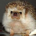 BigStuff7's profile picture. I'm here for big guys.