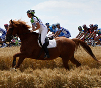 sauvignon89's profile picture. 89년생 차가운 도시남자 입니다 자전거를 좋아하고 지금 사랑에 빠졌습니다 물론 짝사랑 ..-_-